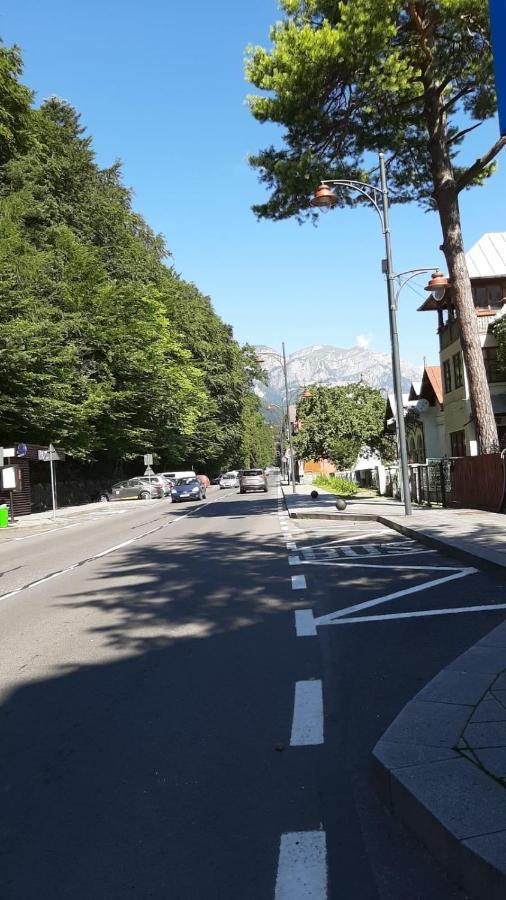 Monik apartament Sinaia Zewnętrze zdjęcie