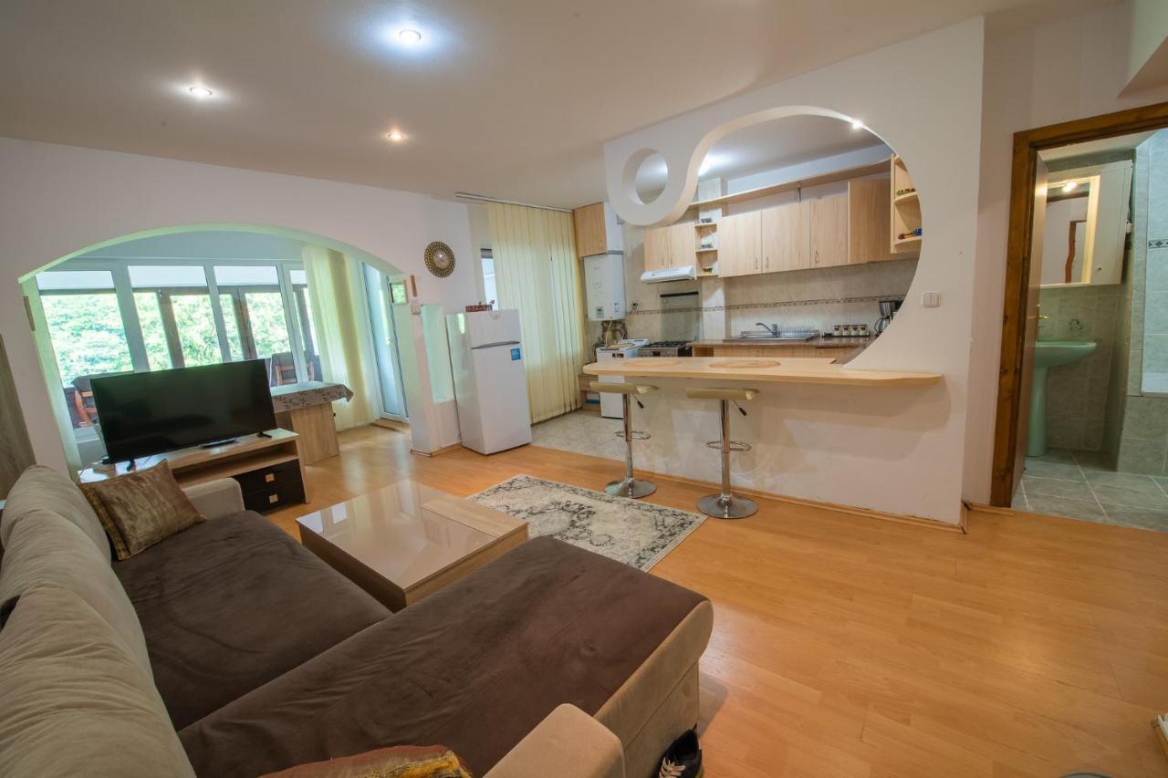 Monik apartament Sinaia Zewnętrze zdjęcie