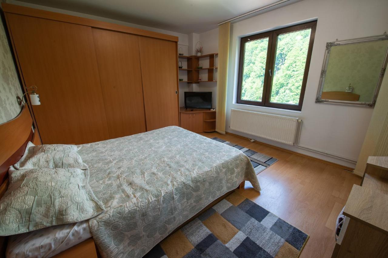 Monik apartament Sinaia Zewnętrze zdjęcie