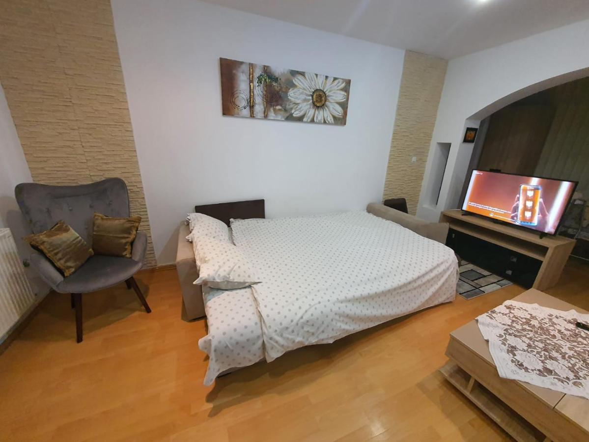 Monik apartament Sinaia Zewnętrze zdjęcie