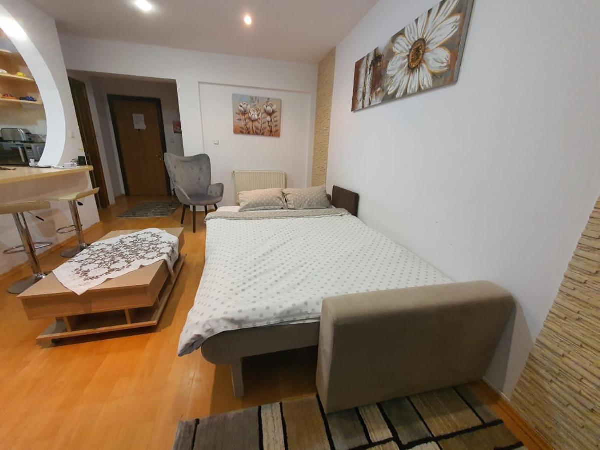 Monik apartament Sinaia Zewnętrze zdjęcie